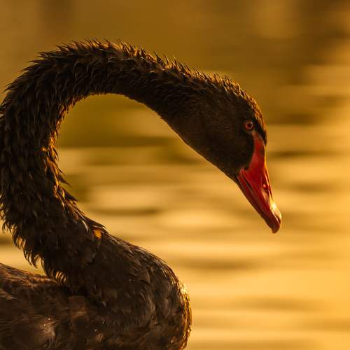 Photo #7680292