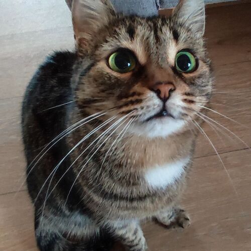 Photo #7680341