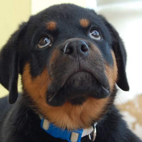 Photo #7680605