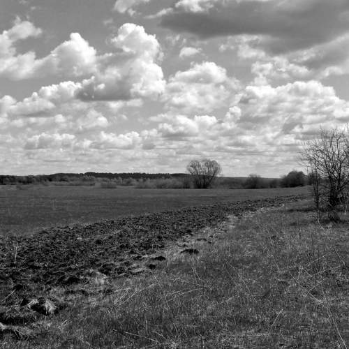 Photo #7680641