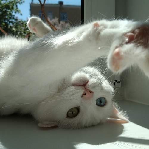 Photo #7680766