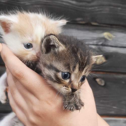 Photo #7680890