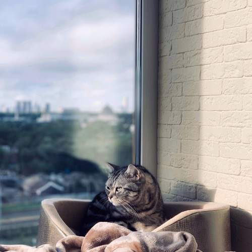 Photo #7681081