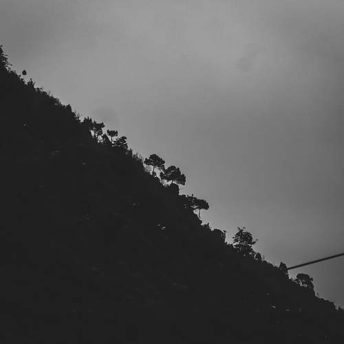 Photo #7681387