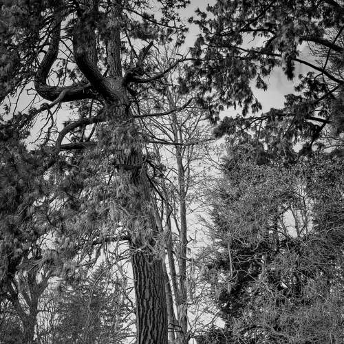 Photo #7681653