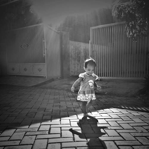 Rara with backlight morning