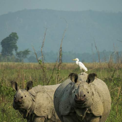 Photo #7682103