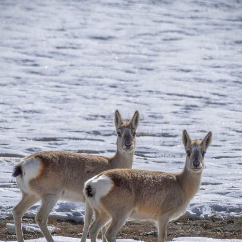 Photo #7682225