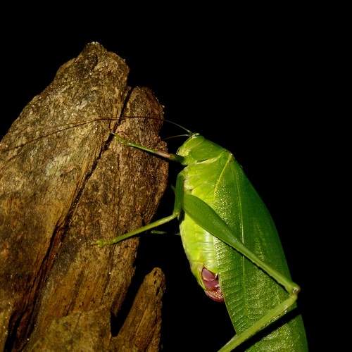 Photo #7682249