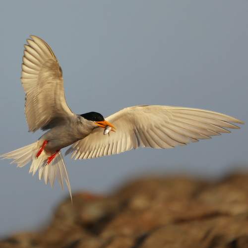Photo #7682357