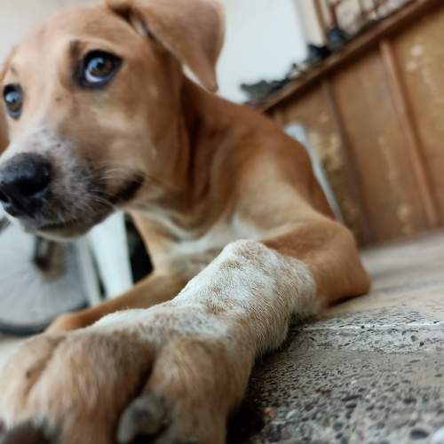 Photo #7682763