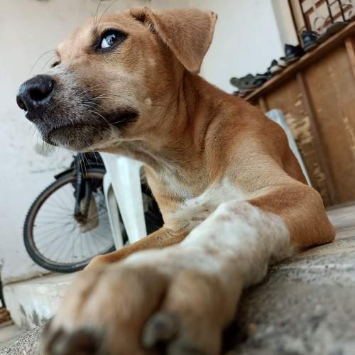 Photo #7682783