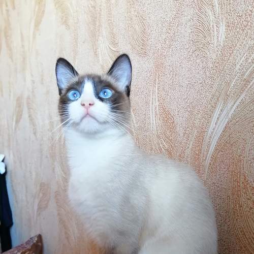 Photo #7682925