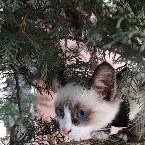 Photo #7682956