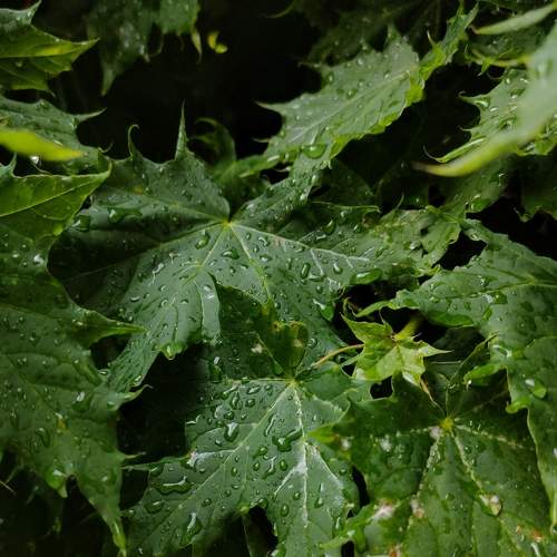 Photo #7683210