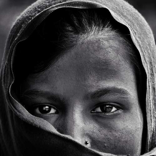 Photo #7683426