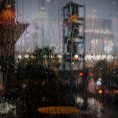 Photo #7683581