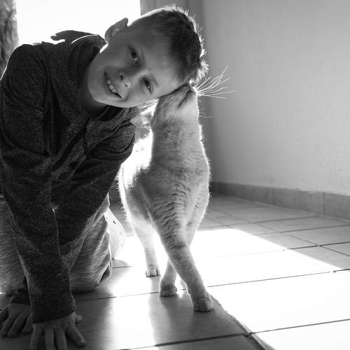Photo #7683663