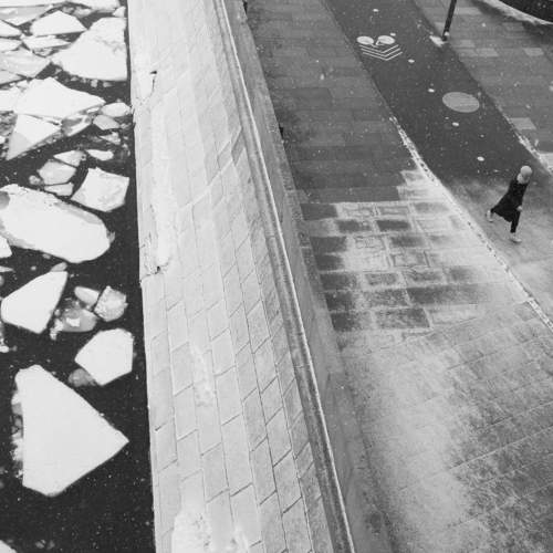 Photo #7683820