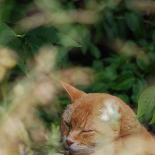 Photo #7684511