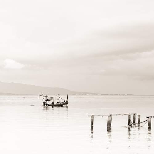 Photo #7684743