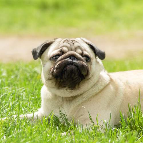 Photo #7684746