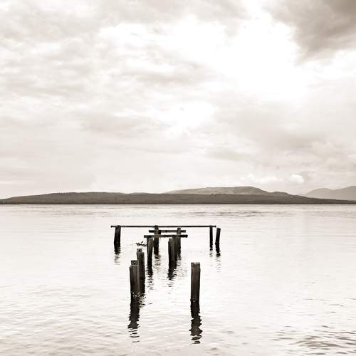 Photo #7684775