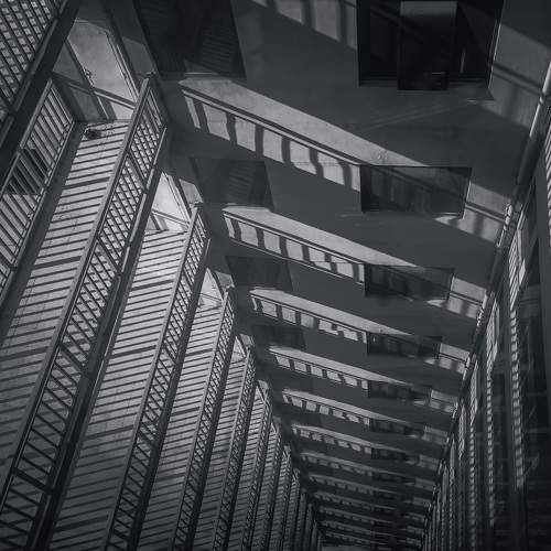 Photo #7684859