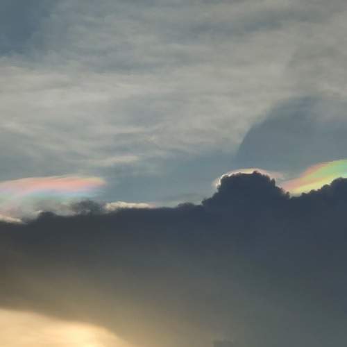 Photo #7685083