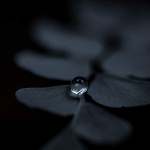 Photo #7685264