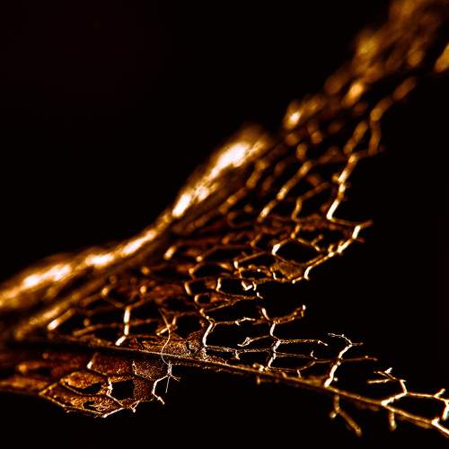 Photo #7685265