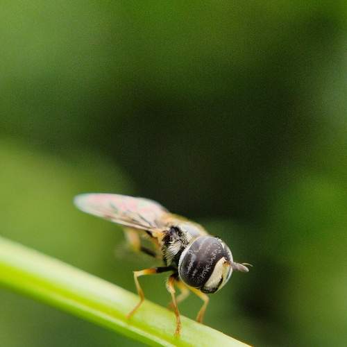 Photo #7685374