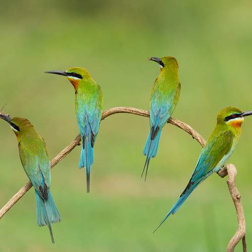 Photo #7685392