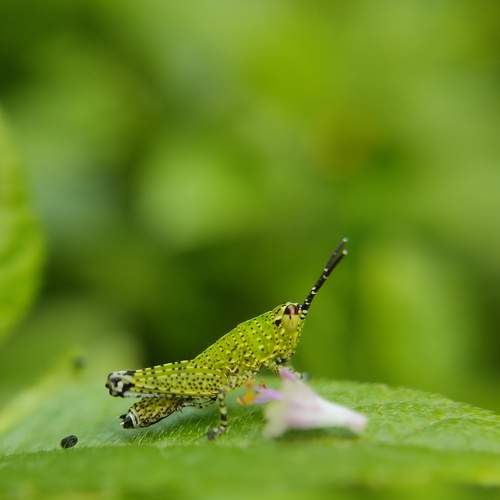 Photo #7685401