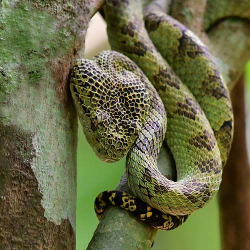 Photo #7685411