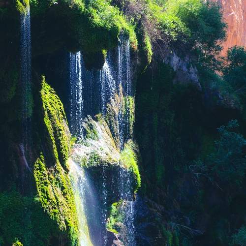Photo #7685439