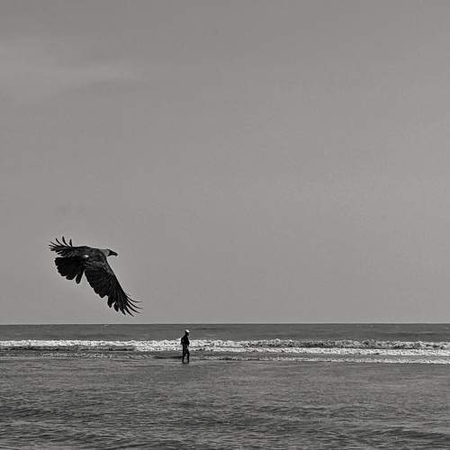 Photo #7685538