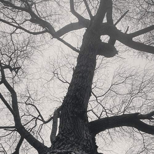 Photo #7685597
