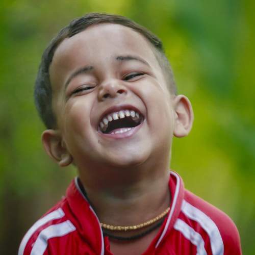 Photo #7685688