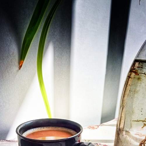 Photo #7685713