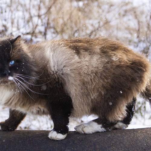 Photo #7685782