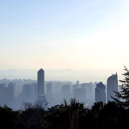 Photo #7685812