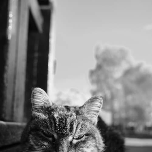 Photo #7686493