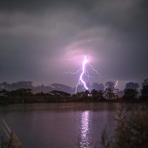 Photo #7686510