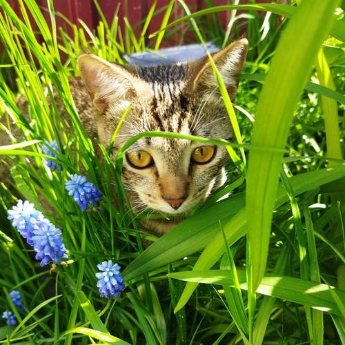 Photo #7686532