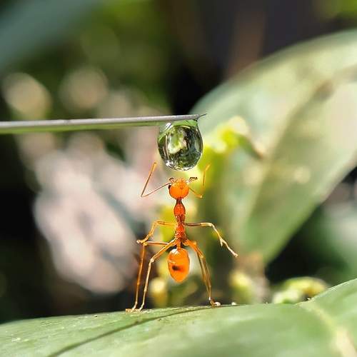 Photo #7686533