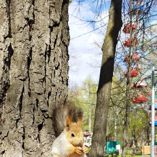 Photo #7686585