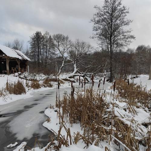 Photo #7686616