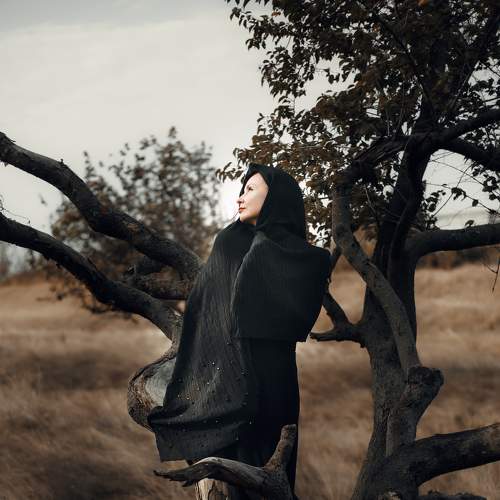 Photo #7686721