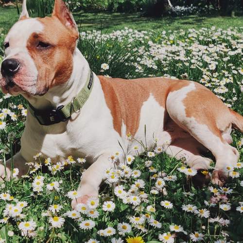 Photo #7687079